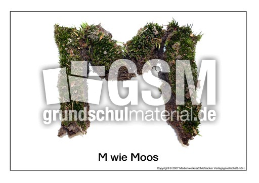 M-wie-Moos.pdf